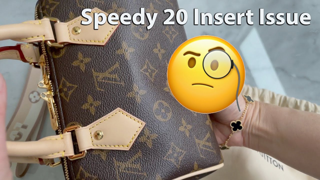 Louis Vuitton Speedy 20 Insert Issue • Should you use a bag