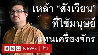 สุราก้าวหน้า: เปิดโรงกลั่นสุรา “สังเวียน” ที่มนุษย์ต้องทำงานแทนเครื่องจักร - BBC News ไทย