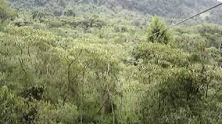 Tirolesas de lujo, en Otongo, Hgo. México