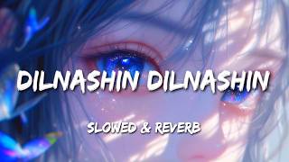 Dilnashin Dilnashin - K.K [Slowed   Reverb]