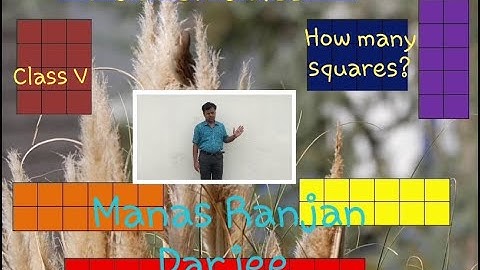 Mathematics - Class 5 - Chapter 3 - How many squares ? Part - 2 , NCERT Manas Ranjan Darjee