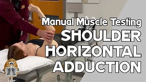 MMT: Shoulder Horizontal ADDuction Manual Muscle Test