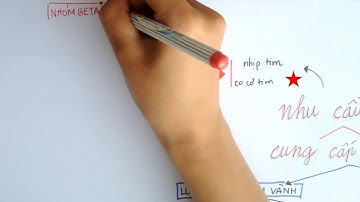 ĐAU THẮT NGỰC VÀ CÁC NHÓM THUỐC ĐIỀU TRỊ