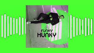 DJ ILYA LAVROV - FUNKY HUNKY