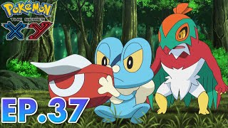 Pokémon the Series: XY| EP37 | Forging Forest Friendships! |Pokémon Asia ENG