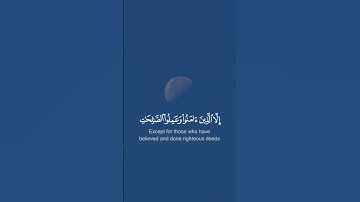 سورة العصر آية ١-٣  Sourate Al-Asr Verset 1-3 #المصحف #islam #palestine