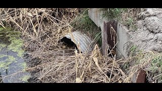 UNPLUGGING A CULVERT