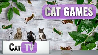 CAT Games | The Great Grasshopper Game | Cat TV 4K | Bug Videos For Cats to Watch |