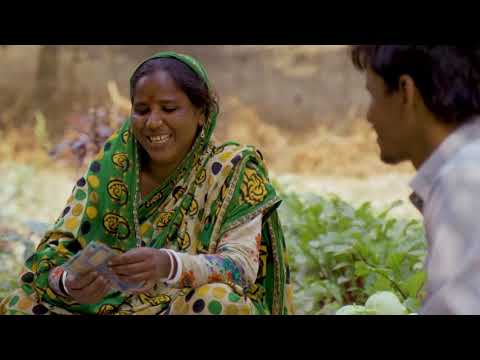 ভিডিও: সাওয়য় বাঁধাকপি: জাত এবং কৃষি প্রযুক্তি