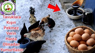 Tavukları Coşturacak Hergün Yumurta Yapacak🐣Tavuklara Kışın Pekmez Verin Hasta Olmadan Yumurtlasın🐔