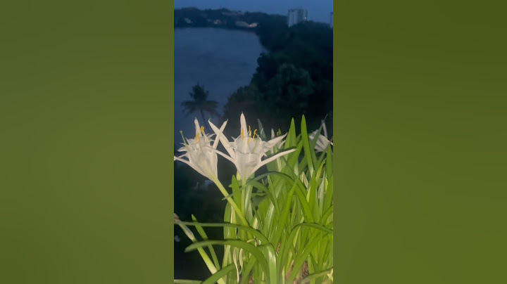 The new generation has given a name to those who say good morning on WhatsApp with a photo - flow...