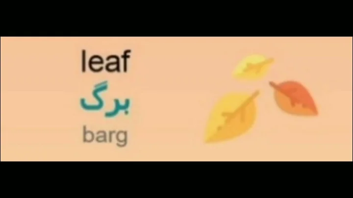 Persian Words for Everyday Life - Basic Vocabulary