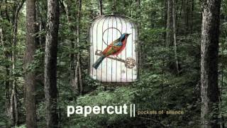 Papercut: Cole Porter ft Tareq (Pockets of Silence) [The Sound Of Everything]