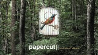 Papercut: Cole Porter ft Tareq (Pockets of Silence) [The Sound Of Everything]