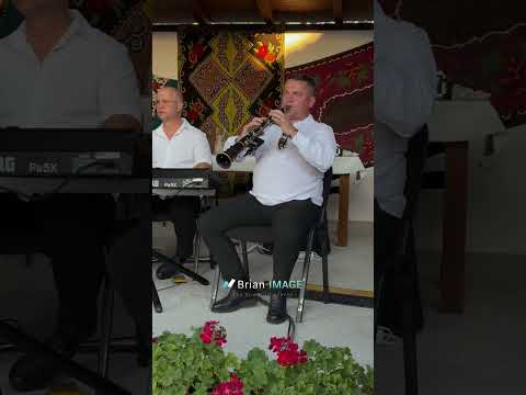 David Crisan - Ramai, Satule, Cu bine (Doina Live)