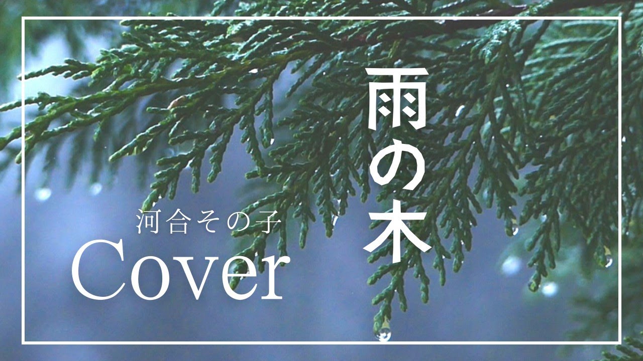 河合その子 雨の木 歌詞&動画視聴 - 歌ネット