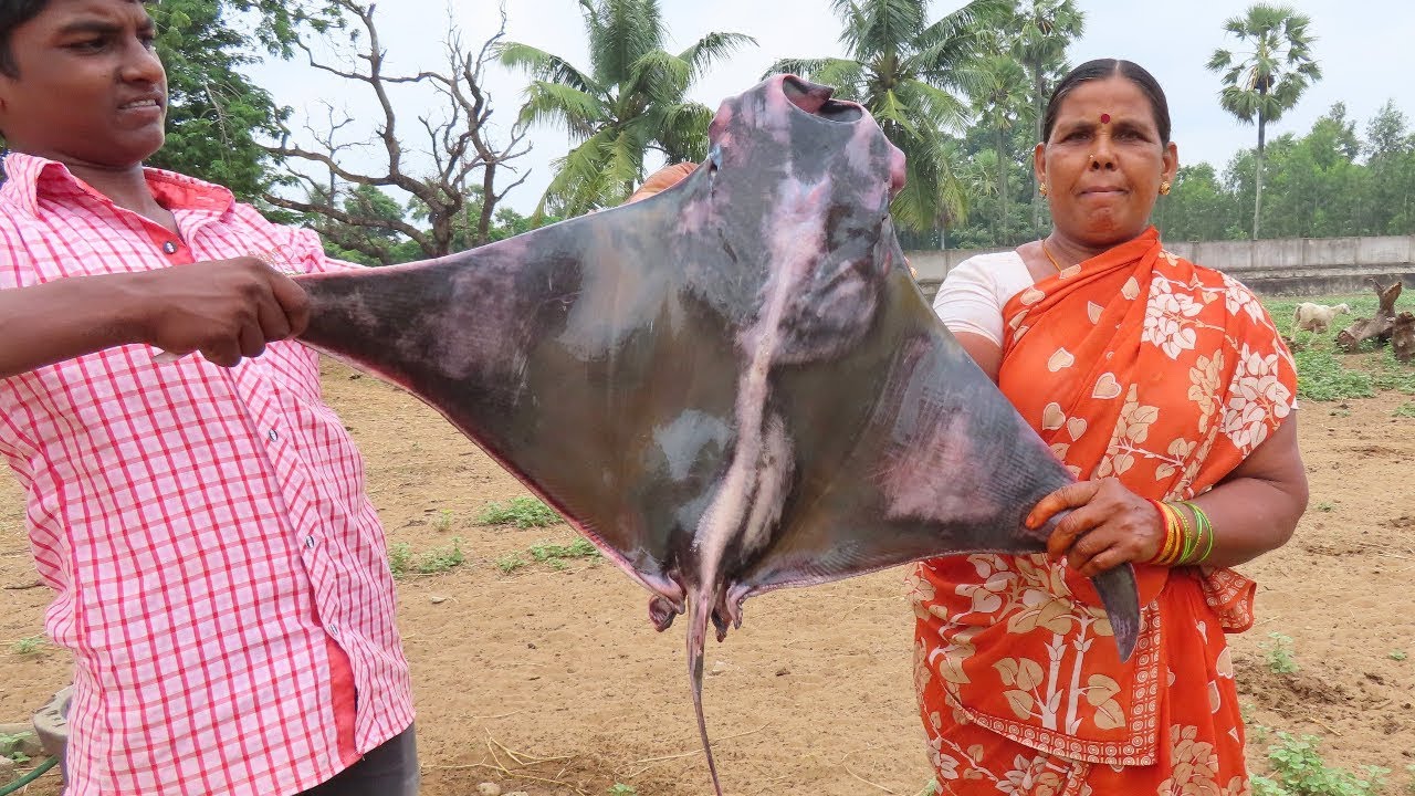 Biggest 10 Kg Stingray Fish Curry - Cutting And Cooking Manta Ray Fish - Eating Delicious Fish Curry