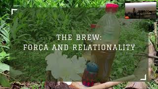 Zuzanna Sadowska - Força (power) and ayahuasca multiplicity