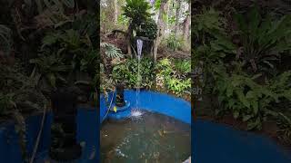 #waterfountain  that  is a stress reliever!