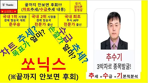 쏘닉스(088280) 추수기(추수) 전문가 종목 분석