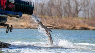 Fish Stocking 2025 - NDGF - 07-14-2025