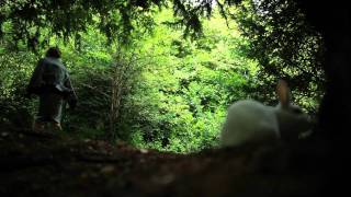 Vanity Fair - Courtney In Wonderland