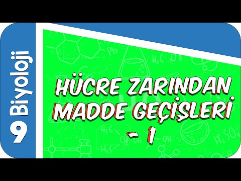 9. Sınıf Biyoloji:  Hücre Zarından Madde Geçişleri -1  #2022