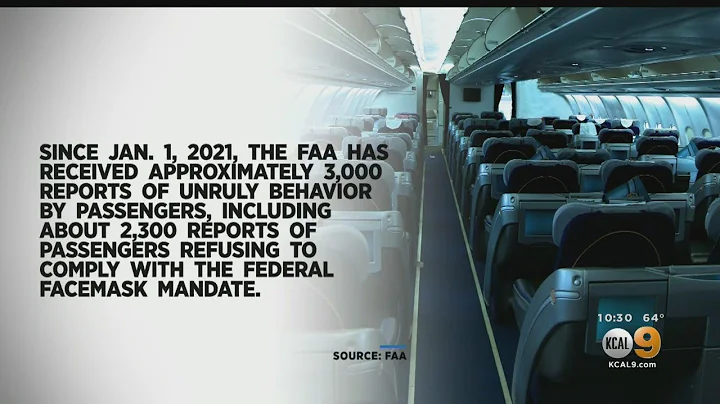 Airlines, Aviation Unions Call For Harsher Penalties For Unruly Passengers