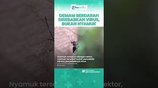 Demam Berdarah Disebabkan oleh Virus, Nyamuk Hanya Sebagai Vektor