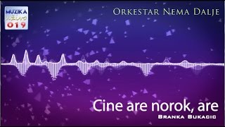 Video thumbnail of "Branka Bukacic i Nema Dalje - Cine are norok are UZIVO // MuzikaUzivo019"