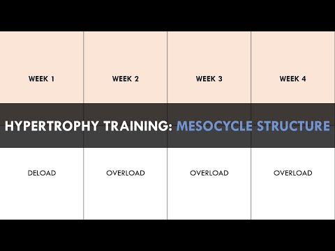 Creating a Hypertrophy Training Program | Part 1: Mesocycle Structure