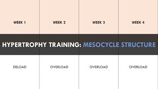 Creating a Hypertrophy Training Program | Part 1: Mesocycle Structure