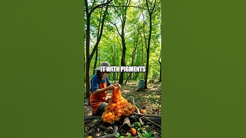 The Remarkable Lacquerware of Ancient Vietnam