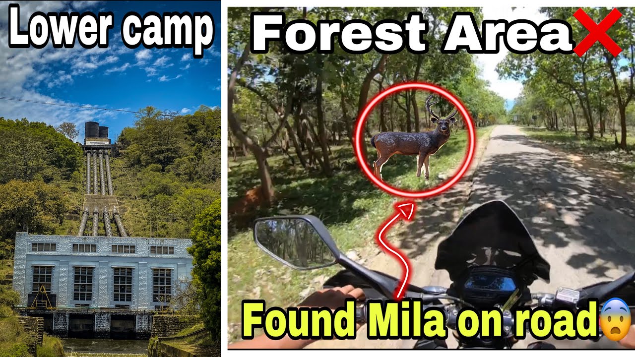 Got scared😰| Lower Dam | chennai to Kanyakumari