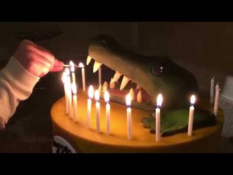 watershed SURPRISE BALLS, CAKE, & ZOO ANIMALS Birthday Vlog Part 2/2