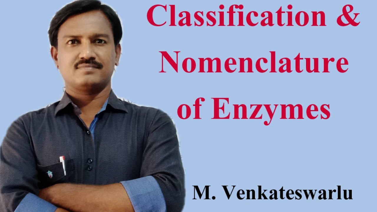 Classification and Nomenclature of Enzymes | Biology | Sr Botany