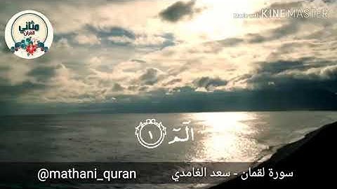 تلاوة خاشعة من سورة لقمان [ من الآية ١- ١١] سعد الغامدي