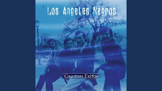 Video thumbnail of "Los Angeles Negros - Si Las Flores Pudieran Hablar"