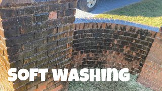 Soft washing brick. How many times did it take to get clean???