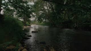 1 Hour of Water Flowing Beneath Filtered Light - Ambient Scene for Sleep