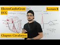 ECG (Electrocardiogram)  fully explained | Chapter circulation | Video 8