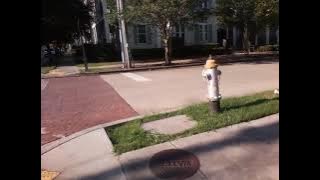 VID 20250817 085431