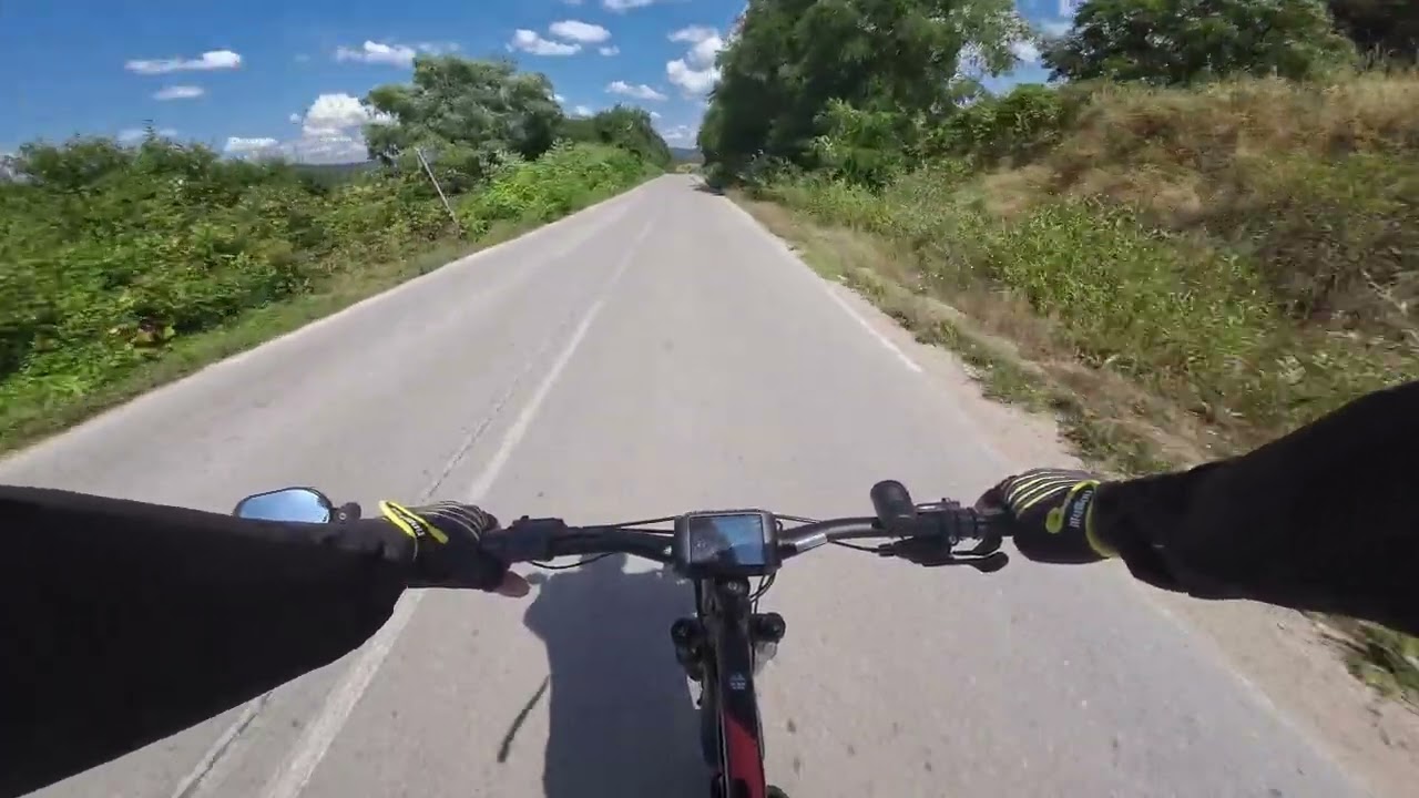 Дървото  и яз.  Искър (Е-bike trip 108 км.)