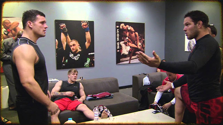 The Ultimate Fighter 19: Grudge Match