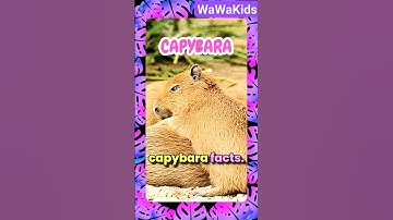 🐾 5 Captivating Capybara Facts: Educational Animal Videos for Kids! 📚👶✨