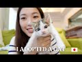 I adopted a kitten【Vlog in Japanese】