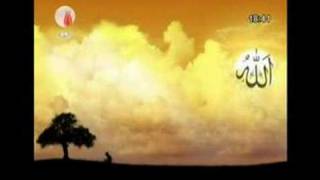 MuSTaFa DeMiRCi-ALLaH YoLu YeKTiR YeK