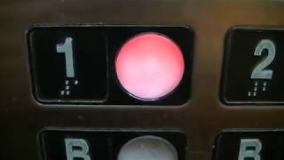 CRAPCOized Armor Traction Elevator @ 741 Broadview Avenue, Toronto ON