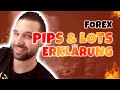 Was Sind Pips Lots Hebel Anfänger Erklärung Tutorial Wie Werde Ich Forex Trader