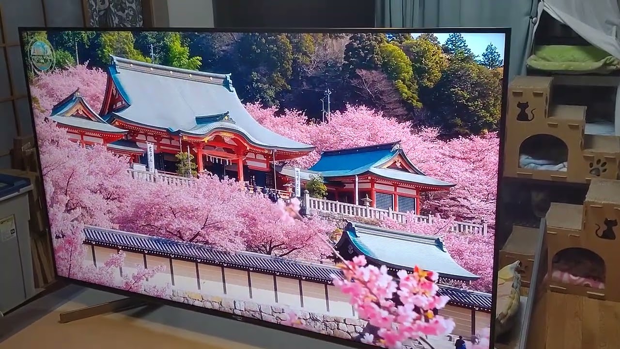 ソニー ブラビア SONY BRAVIA KJ-55X9500G 4K液晶テレビ 55インチ 2019
